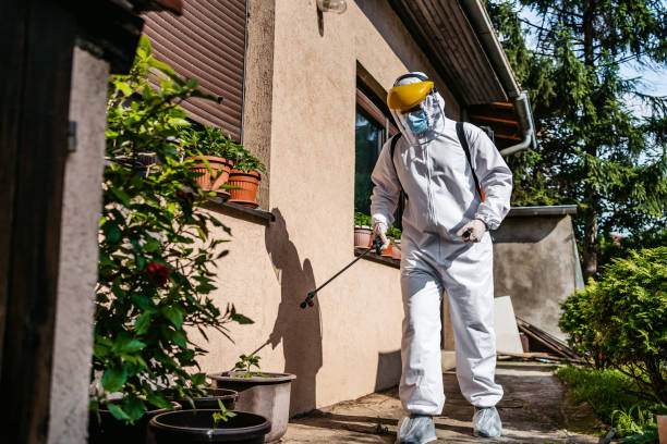Best Pest Prevention Services  in Columbia, IL