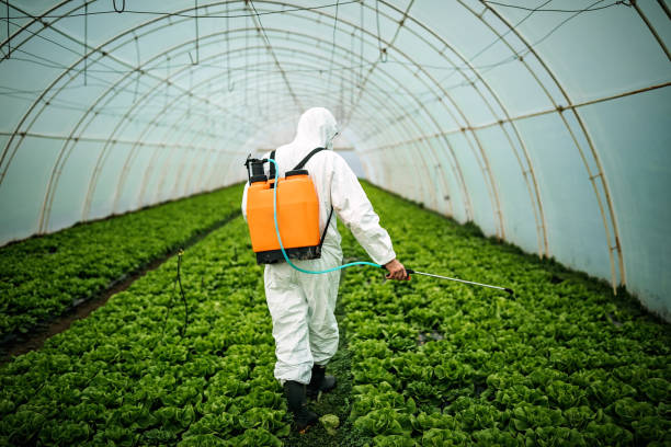 Best Pest Control Near Me  in Columbia, IL