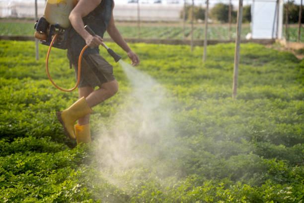 Best Pest Control Near Me  in Columbia, IL