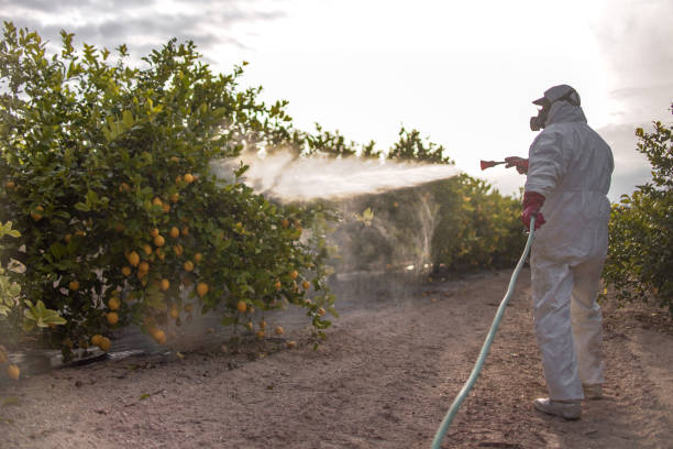 Best Pest Control Near Me in Columbia, IL