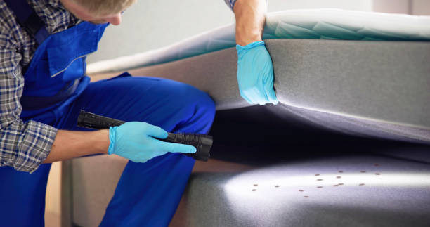 Best Affordable Pest Control Services  in Columbia, IL