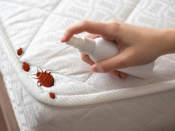 Reliable Columbia, IL Pest Control Solutions