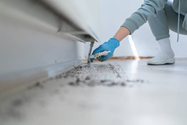 Pest Control Cost in Columbia, IL
