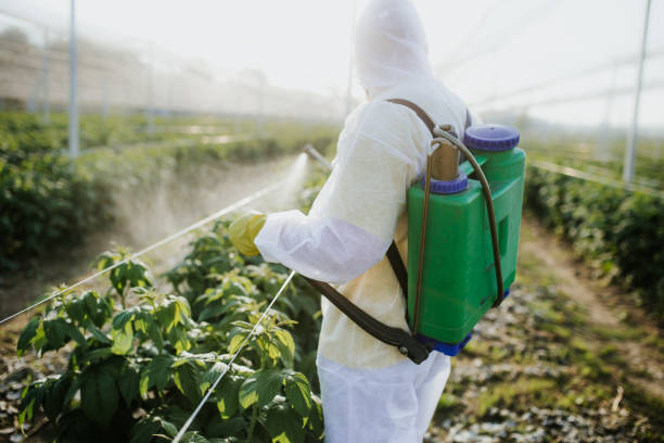 Best Emergency Pest Control  in Columbia, IL